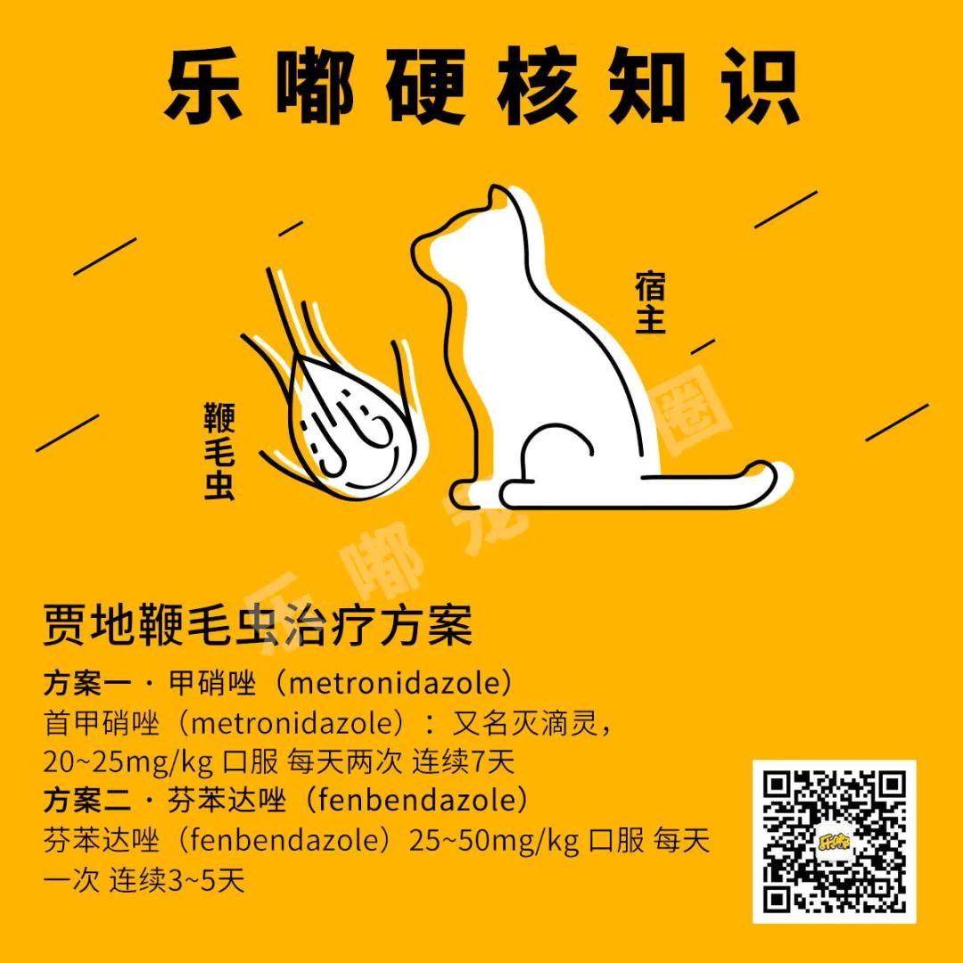 常规驱虫药都不能赶走哪些寄生虫,驱虫关注事项有哪些