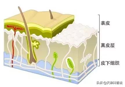 伤口结痂为什么会那么痒,伤口结痂处特别痒怎么回事
