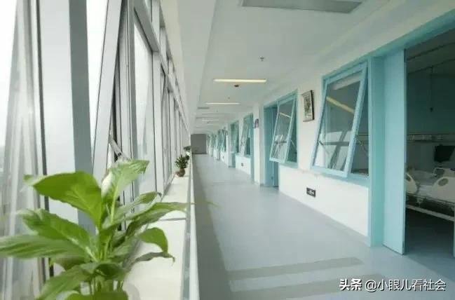 史记荆楚大疫,历史上的战疫