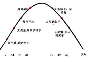怎样针灸美容效果最好,针灸美容提升方法教程视频
