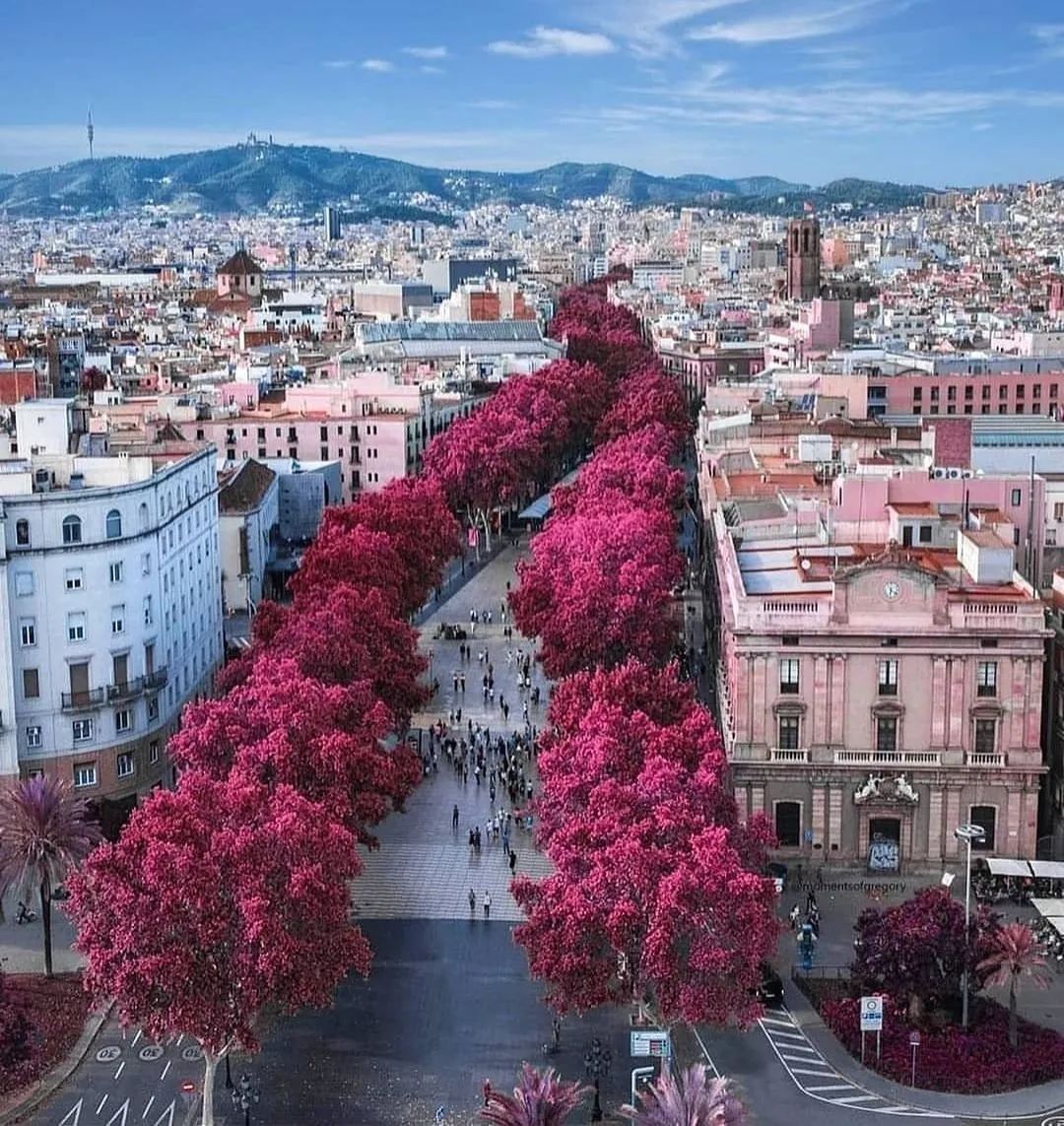 西班牙阿根廷足球,西班牙以什么著名