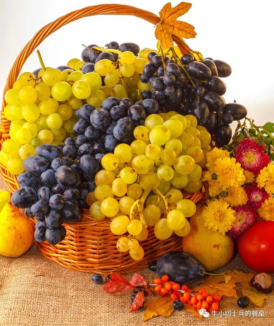 聚天地之灵气纳日月之精华道德经,聚天地之元气纳日月之精华