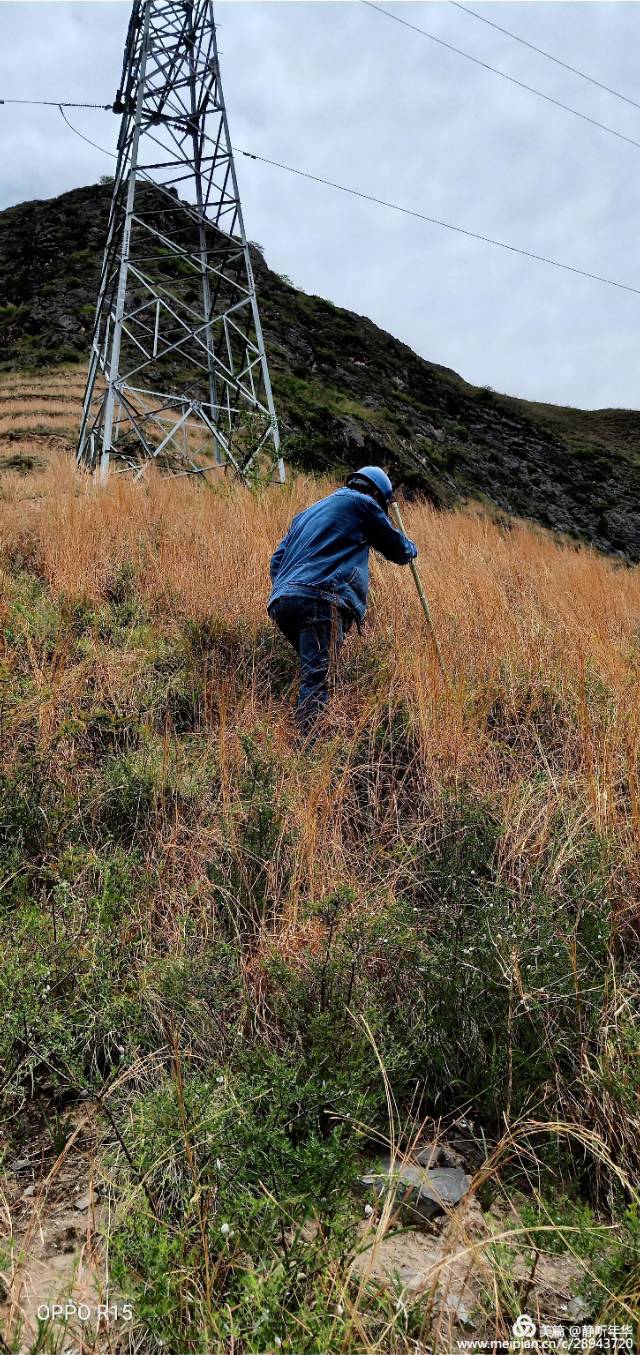 武都供电公司抢修,武都黄坪电力抢修