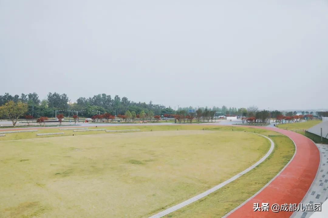空港运动公园和空港花田哪个好耍,空港运动公园看飞机视频