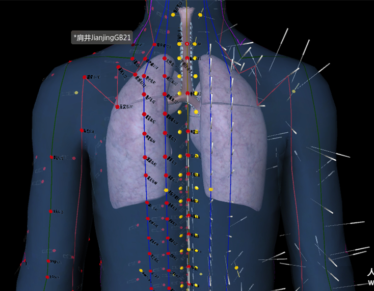 针灸肩井穴一般多深会导致气胸,针灸气胸紧急处理