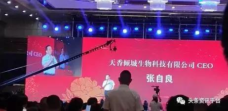 宗易汇大蒜期货电子盘界面怎么换,牡丹国际大蒜电子盘交易历史数据