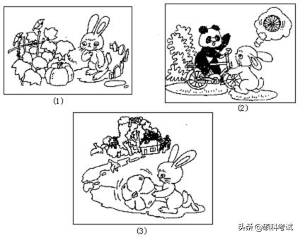 四年级上册语文67页看图写话100字,小学一二年级看图写话图片和范文