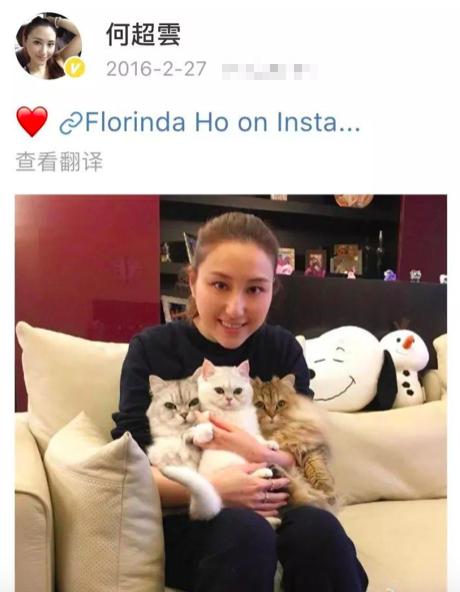 陈婉珍年轻跟赌王合影,陈婉珍为何能成为赌王