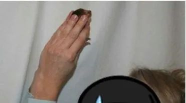 猫宫庄园大幅度提高新生小猫出生率的助产方法