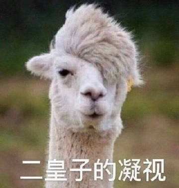 庆余年群演是谁,庆余年213位女艺人神仙颜值