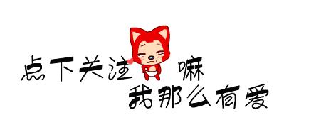 想养秋田犬快来看优缺点分析,想养狗狗幼犬最好养什么狗