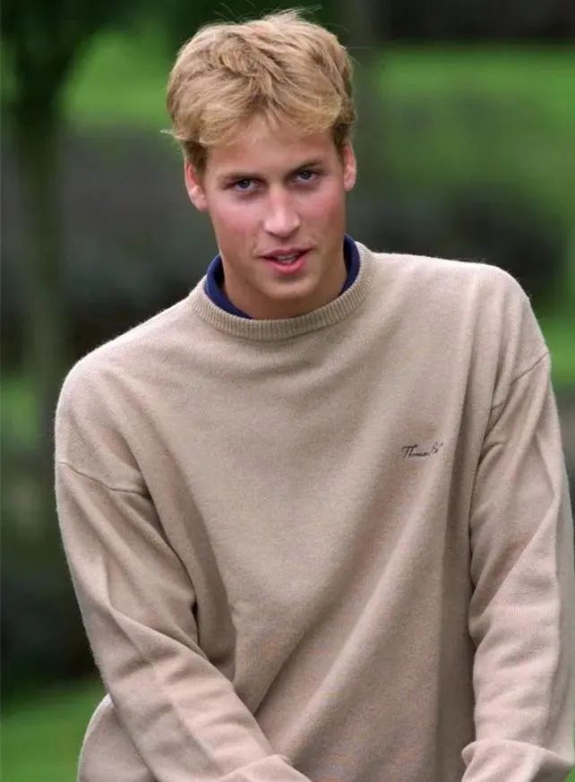 宋慧乔杨幂赵丽颖,宋慧乔海藻