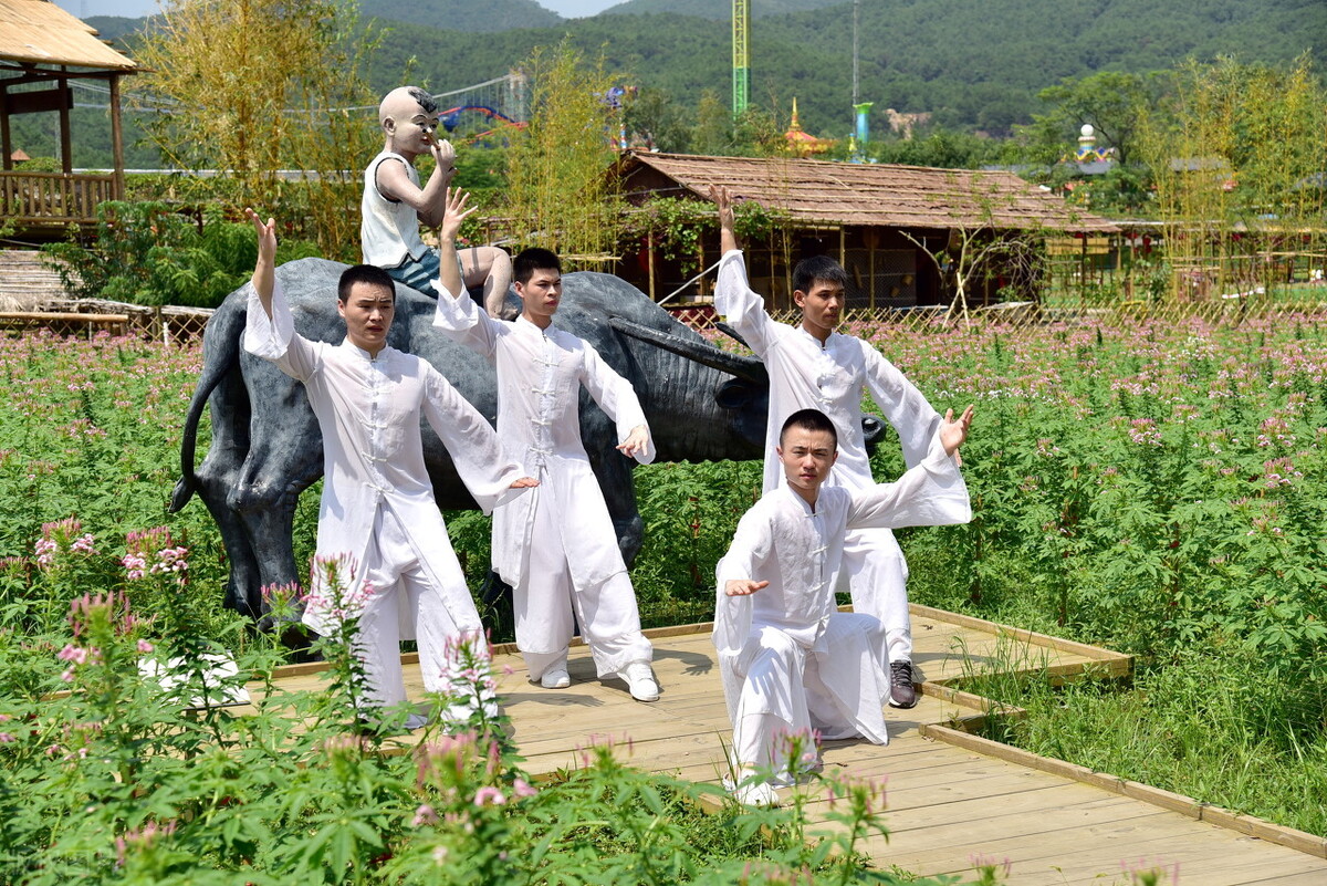 论太极拳中的动与静的辩证关系,太极拳十大要论详解