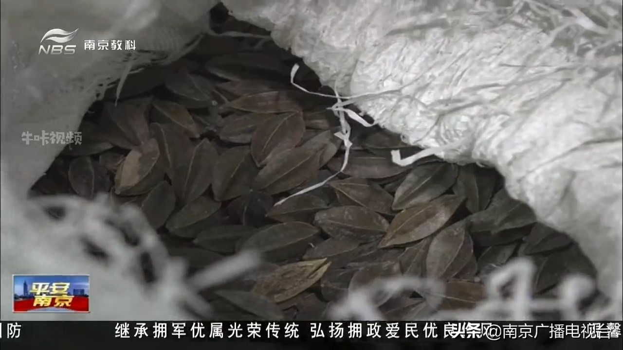 街头“神药”包治三高？民警清晨抓捕*子骗**