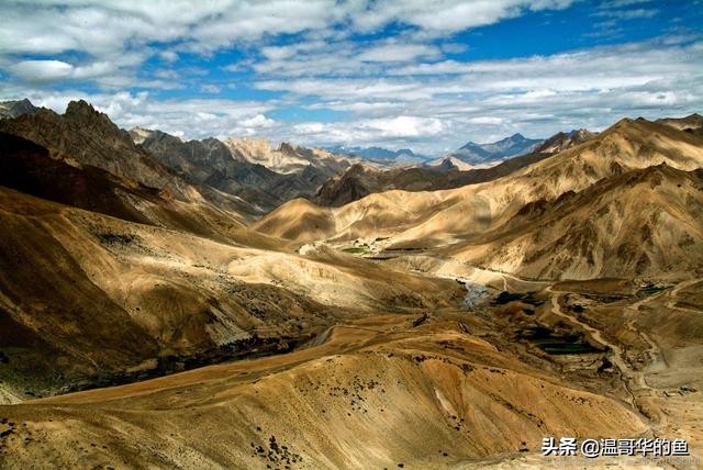 拉达克地形,拉达克军总兵力