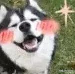 广州哪里有茶座,广州粤曲茶座哪里有