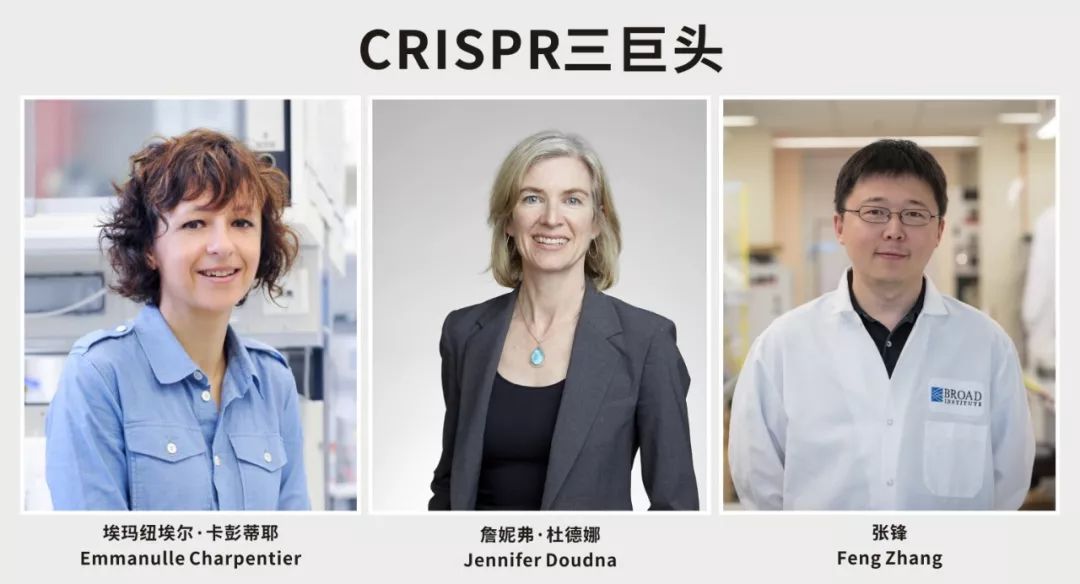 首个crispr基因编辑疗法获批上市,全球首款基于CRISPR基因编辑技术