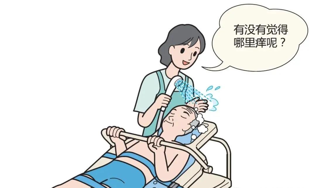 护理员学习什么,护理员基础知识