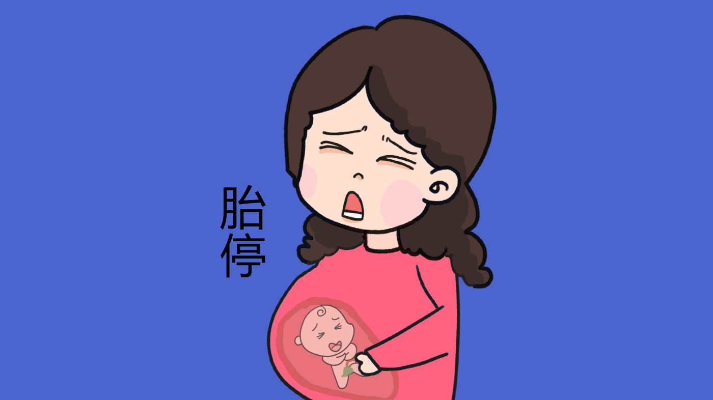 孕期胎停肚子会刺痛吗,10周胎停没胎芽药流成功率高吗