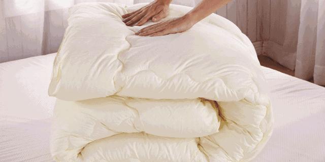 蚕丝的内幕,蚕丝被内幕曝光