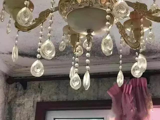 天气潮湿蘑菇长霉了怎么办,梅雨季节房间墙壁长霉怎么处理