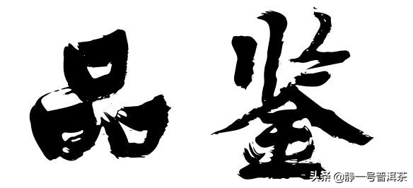茶叶开汤审评方法,茶叶审评工具大全