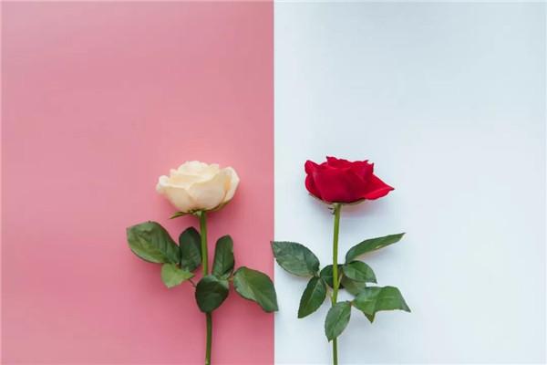 四个防护等级,四种防护