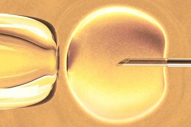 做试管婴儿要花多少费用呢,试管婴儿准备移植前怎样调理身体