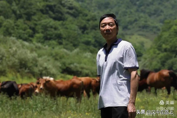 汉中圈子崖天坑,汉中镇巴圈子崖天坑旅游攻略