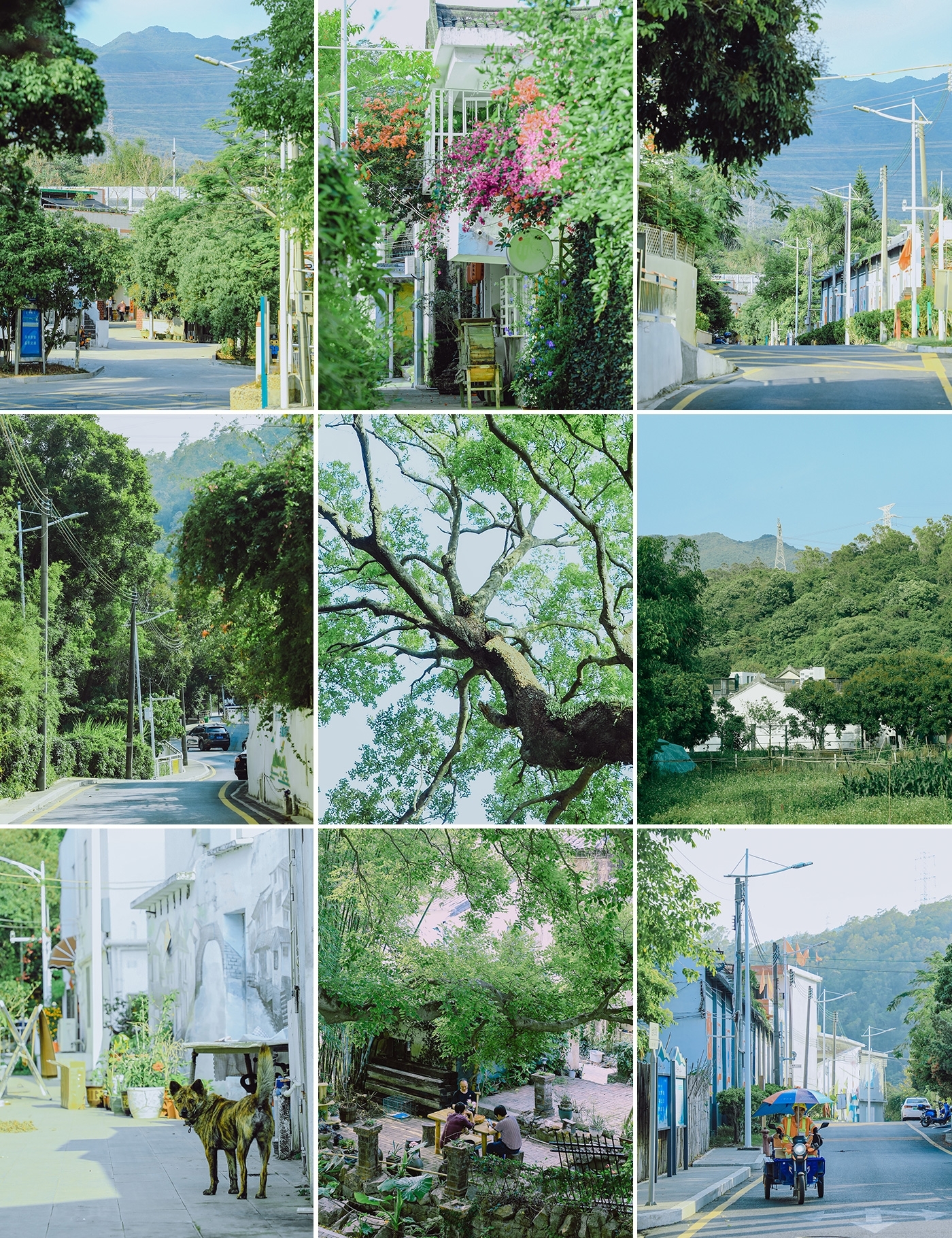 深圳皇岗拍照,深圳湾红树林公园拍照姿势