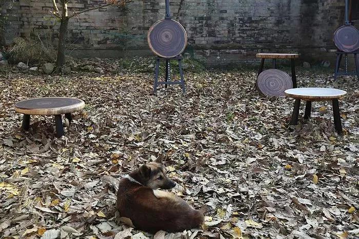 探索千年古村落温州永嘉芙蓉古村,雁荡山芙蓉古村