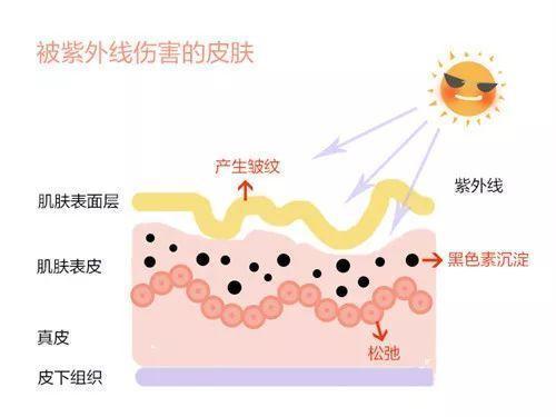 分不清肤质用什么,新手入门必学教你化妆的正确步骤