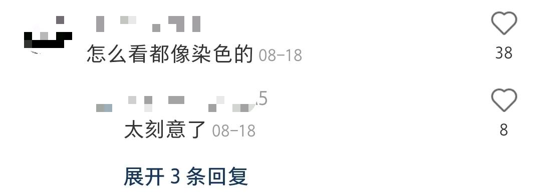 全球罕见足球猫冲上热搜，网友：指定染色！结果......哈哈哈哈