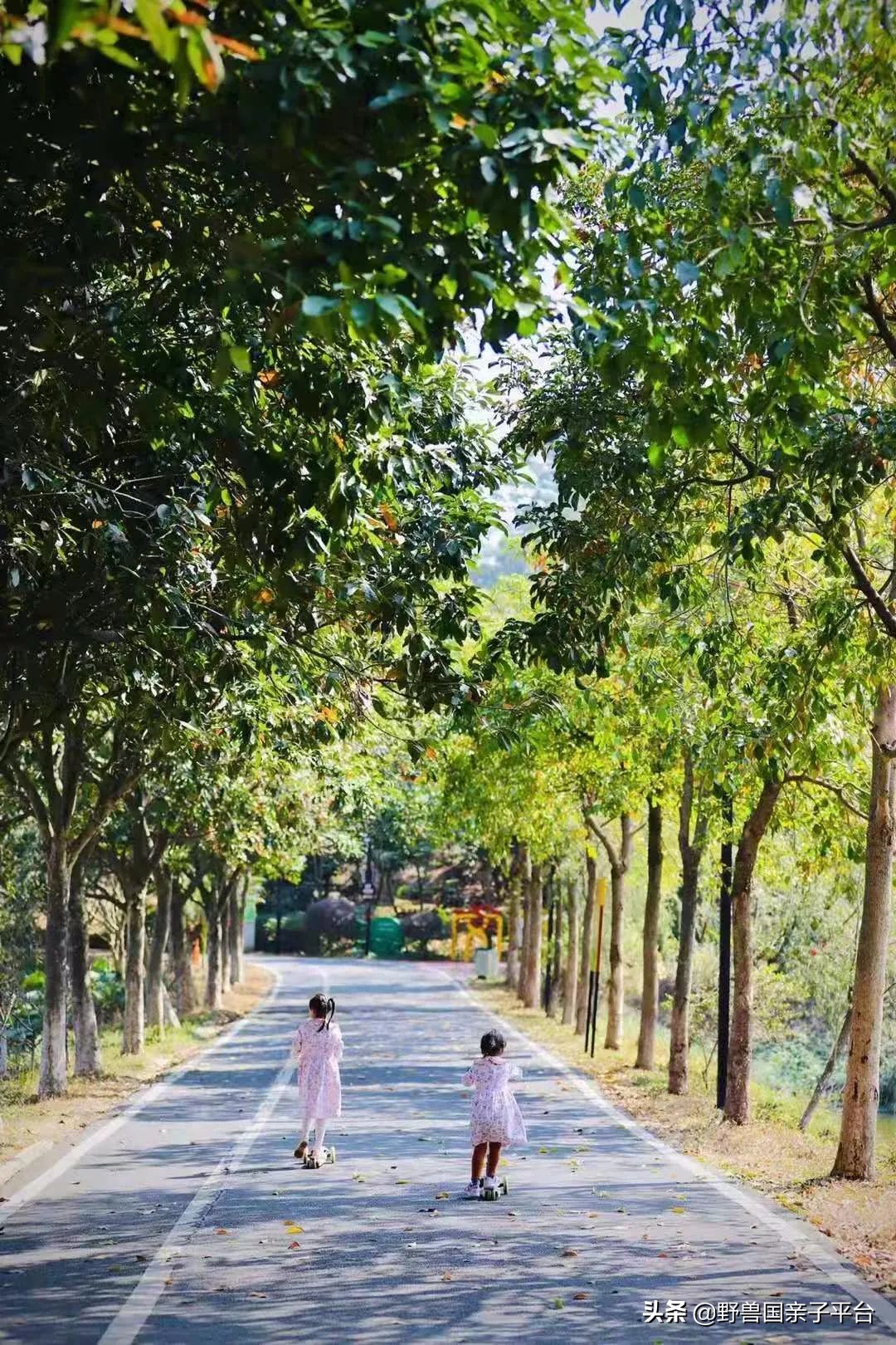 广州遛娃出游,广州遛娃3-4天攻略