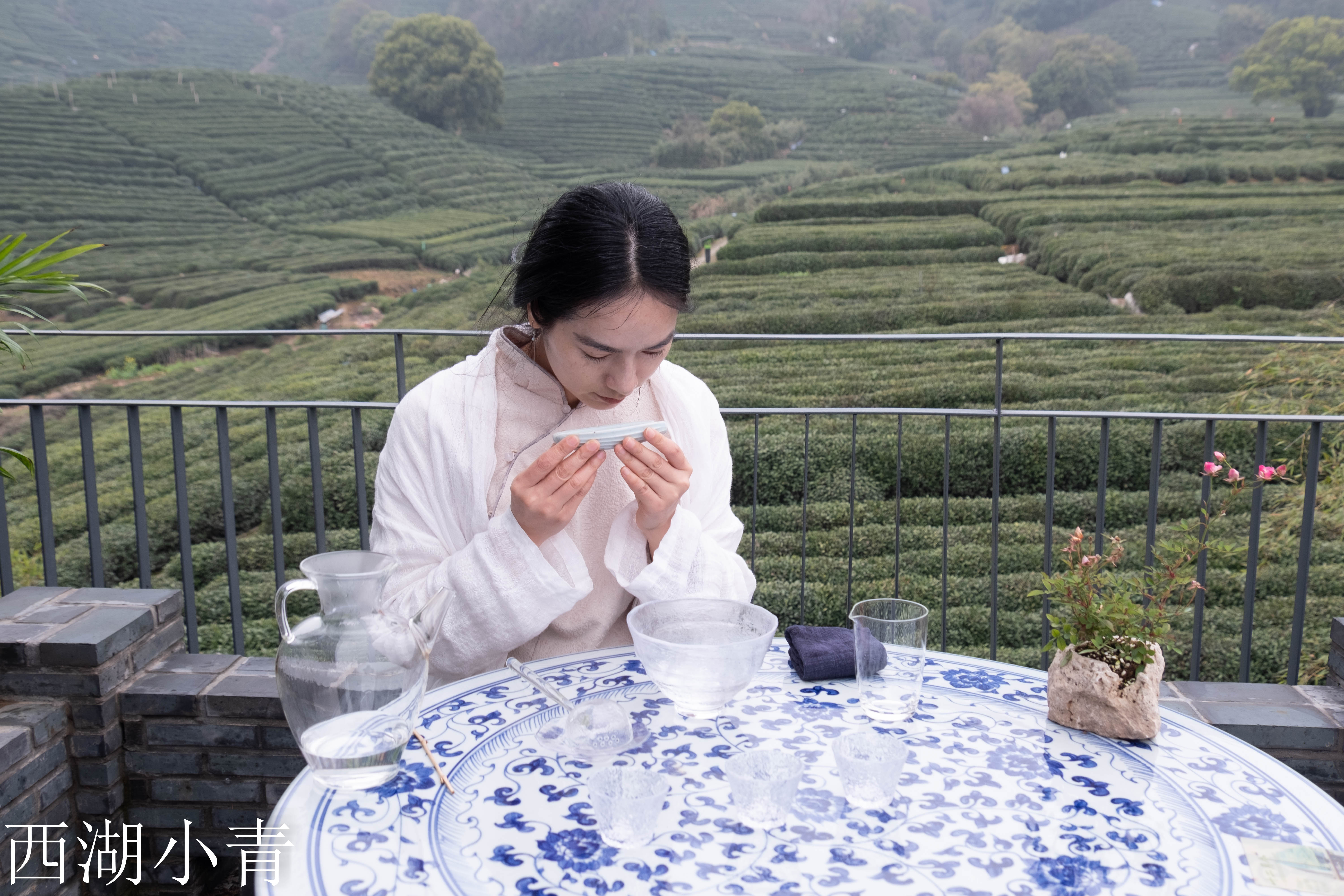 西湖龙井春茶季,龙井茶西湖明前春茶