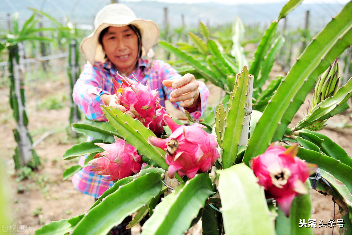 棰勬湡鍦熷湴娴佽浆,鍦熷湴娴佽浆瑙嗛