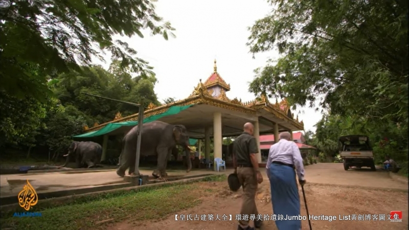 第1844回：皆伐破坏栖息生态，间伐劳工大象伐木