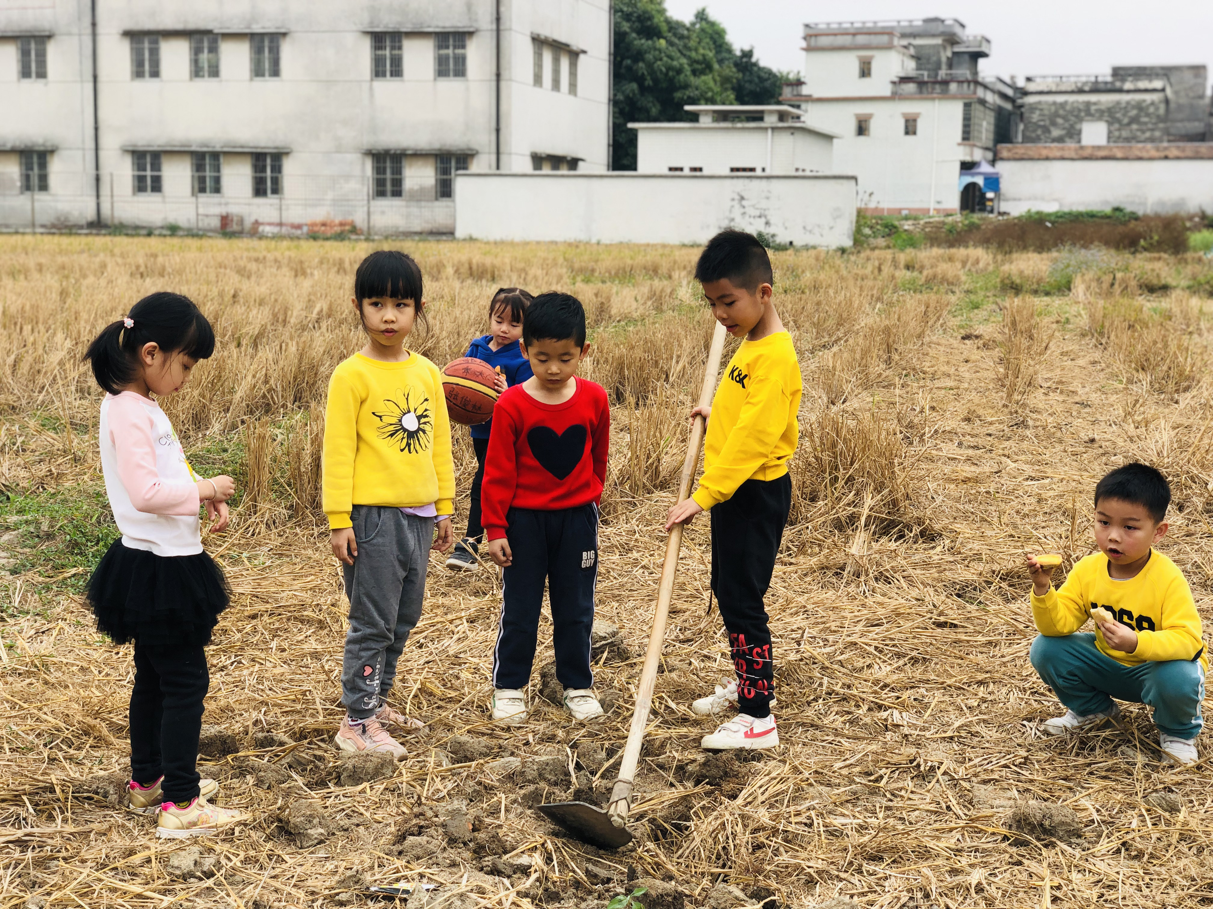 江门至道会跆拳道,开平苍龙跆拳道