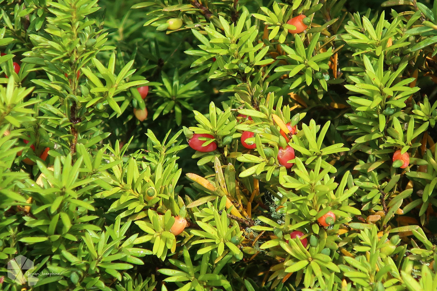 新西兰南岛一日游,新西兰南岛旅游地图