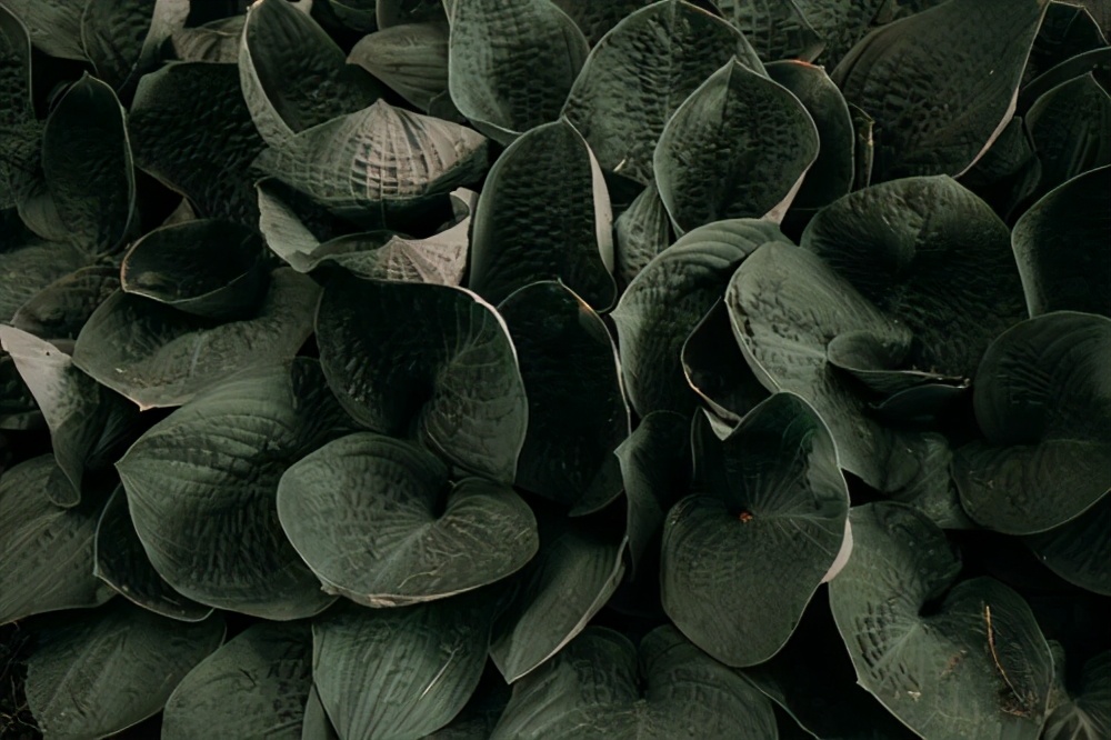 婚外感情中，真爱或许只有一种，学会反观自己，帮你早点放手