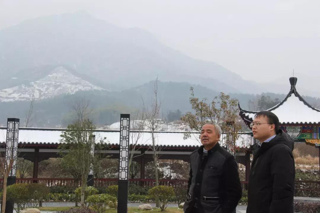 常吃可以养胃抗衰老,养胃润肺中药泡茶方子