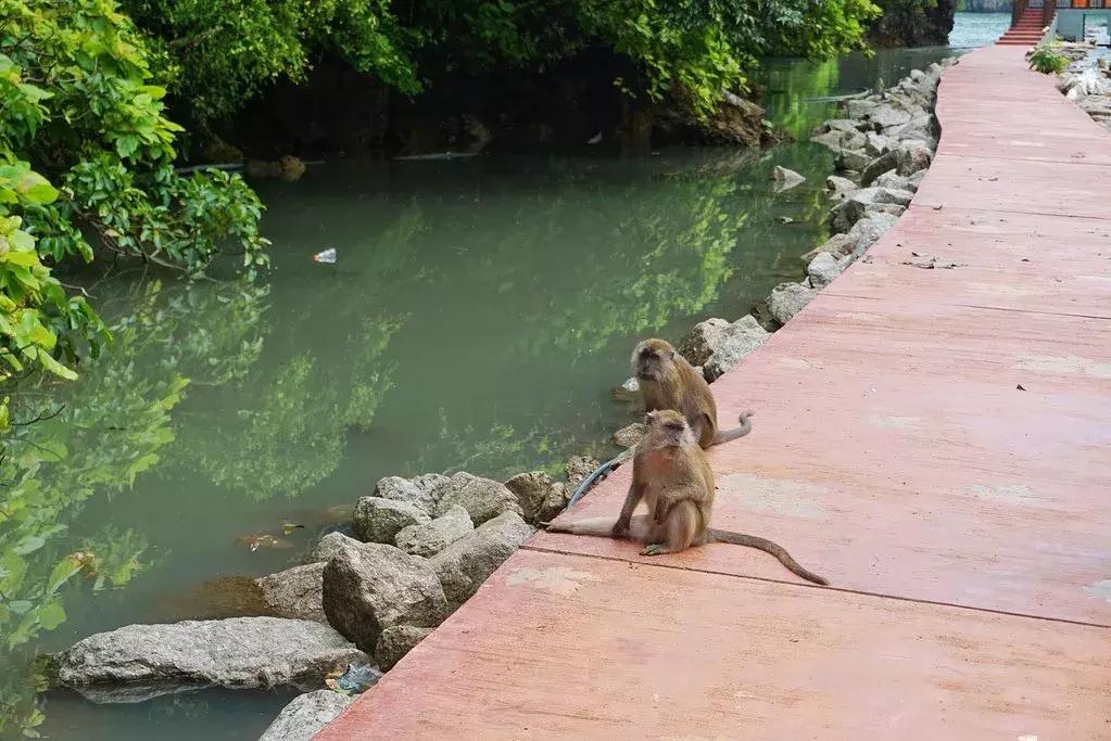 兰卡威教程,兰卡威攻略全集