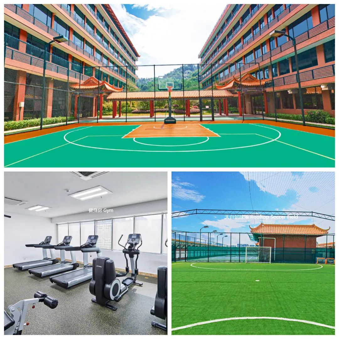 奥运体育风采视频,奥运开幕式向世界展现