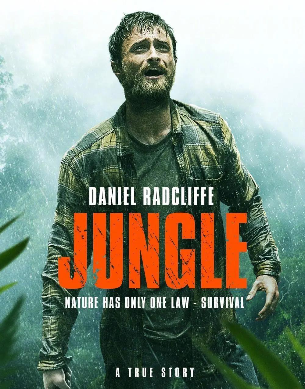 哈利波特艺人今昔现状,哈利波特艺人今昔对比