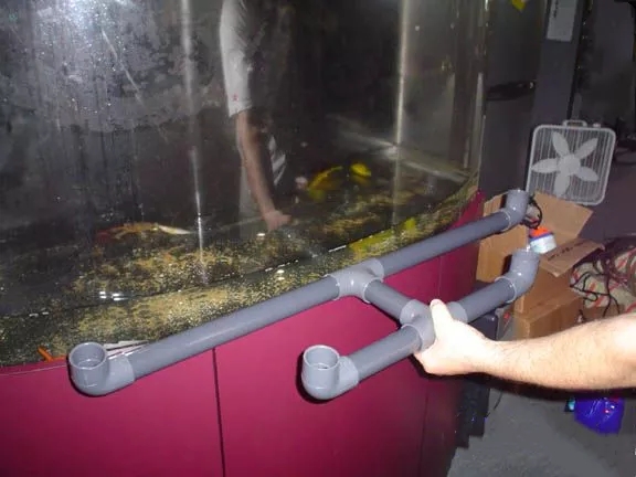 小众的热爱,正宗海鳗