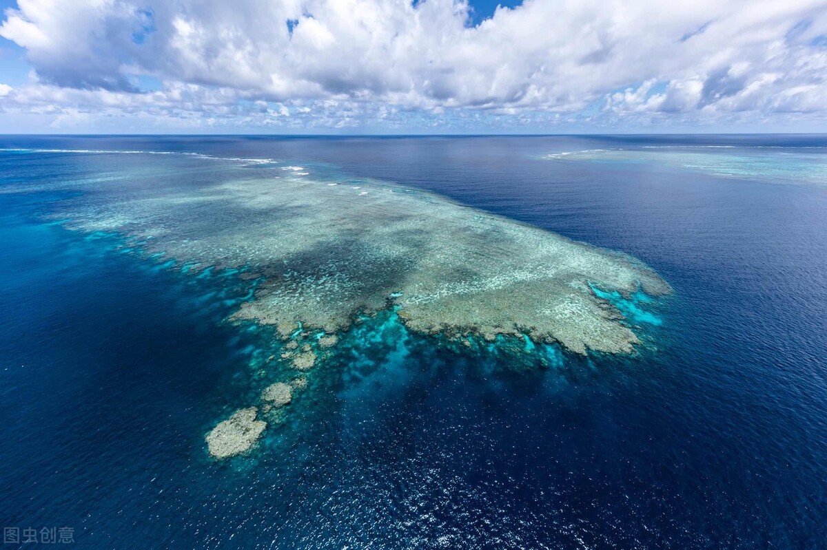 珊瑚掉色是怎么回事,珊瑚掉色是什么原因