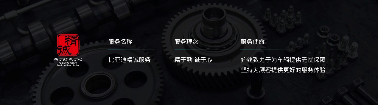 比亚迪秦plus冠军车性能怎样,比亚迪全新秦年后新增车型