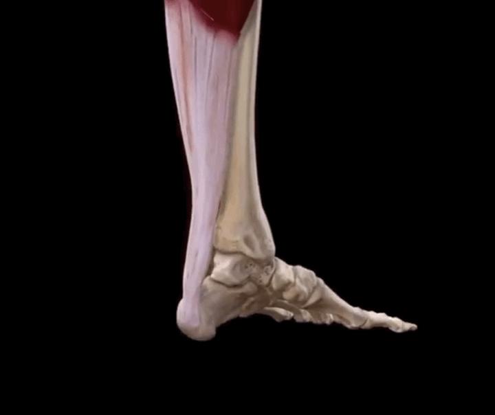 杜兰特的回归，本身就是一个奇迹——历数被跟腱伤病毁掉的巨星们