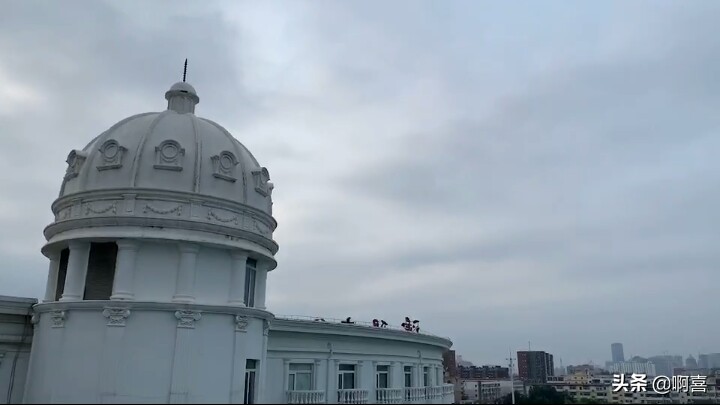 沈阳北陵公园的树,沈阳市北陵农场红枫林