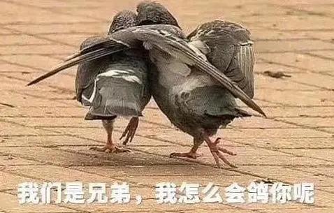 以前我没得选只想做个好人表情包,以前我没得选现在只想做一个好人